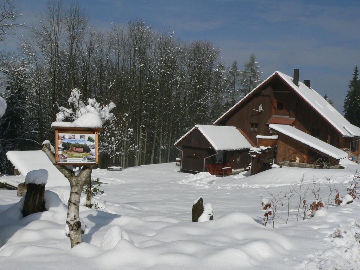 Penzion Na Habesi Kasperske Hory Exterior foto